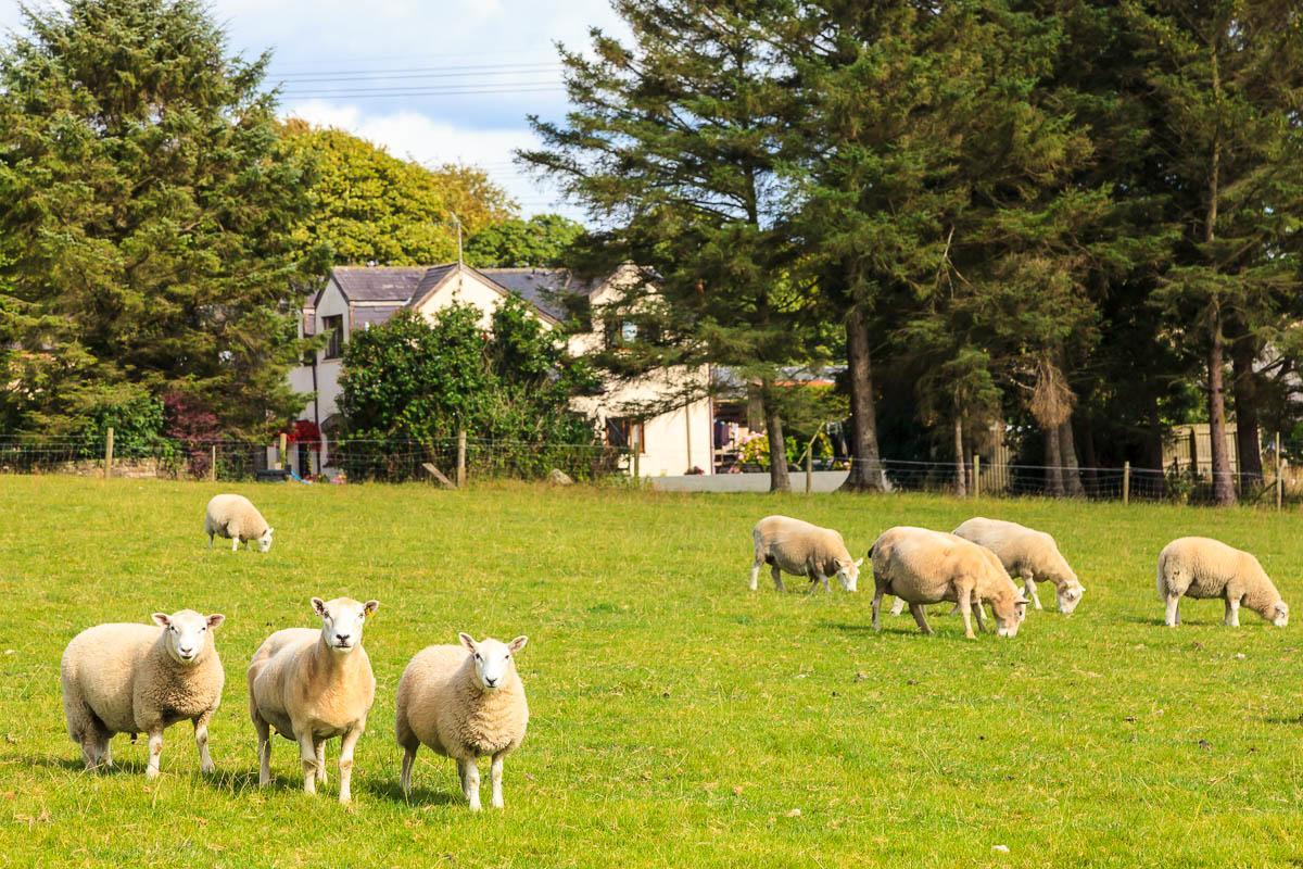 Langdon Farm Guest House Kilgetty Dış mekan fotoğraf